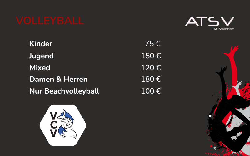 volleyball mitgliedsbeiträge